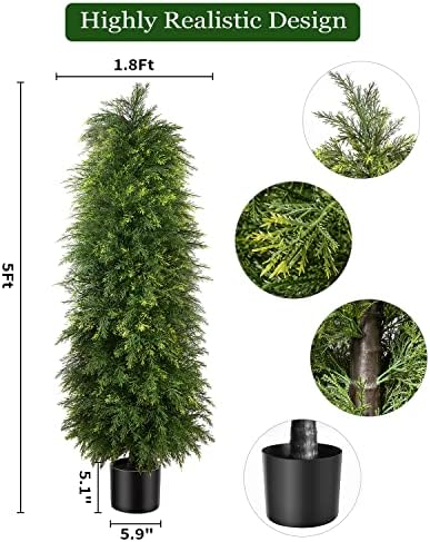 Premium Cedar Topiary Trees 5ft
