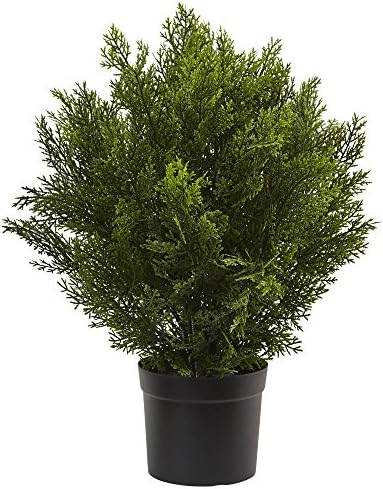 Keep 2ft Cedar Bush Natural