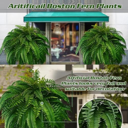 RJDJ Pinkgentle Ferns Arrangement for Outdoors