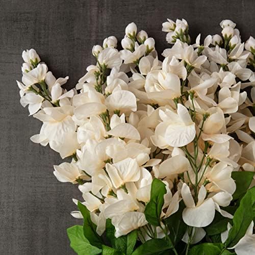 Floral Serenity - Cream Wisteria Bush by Ashland