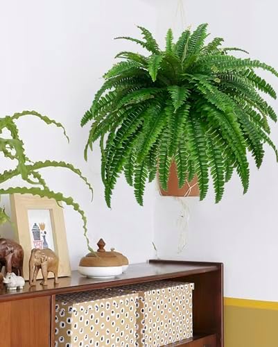 Authentic Fake Boston Fern 88 Branches for Home Decor