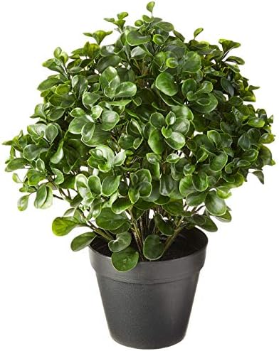 Nearly Natural 23-inch Peperomia UV-Resistant Plant