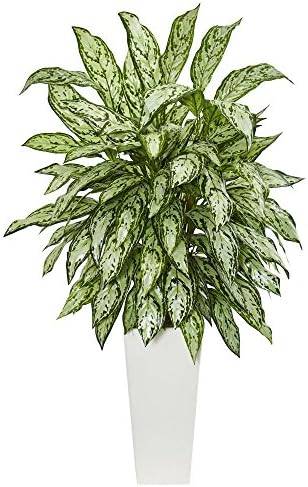 Silver Queen Artificial Plant