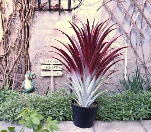 Stunning 26 Realistic Agave in Matte Black Pot