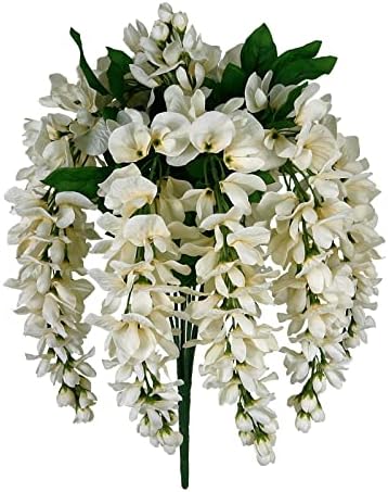 Floral Serenity - Cream Wisteria Bush by Ashland