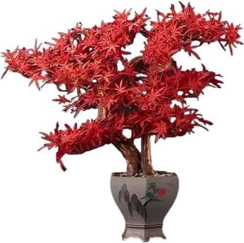 Welcome Pine Artificial Bonsai Tree Decor
