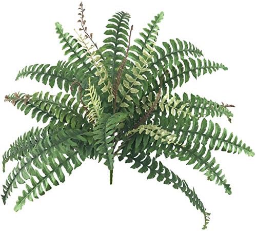 Beebel Artificial Boston Fern Multi-leaved