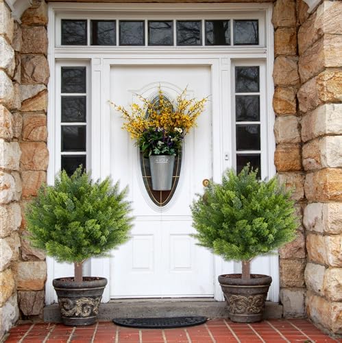 Realistic Cedar Shrubs with Ground Spikes