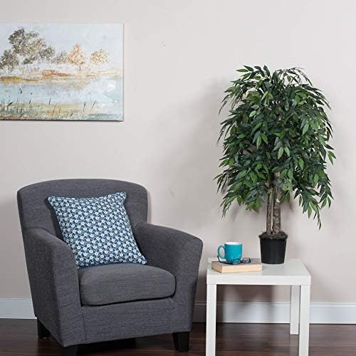 4 Vickerman Green Smilax Bush in Black Plastic Pot