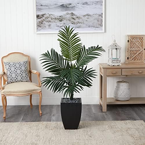Natural Beauty 45ft Kentia Palm