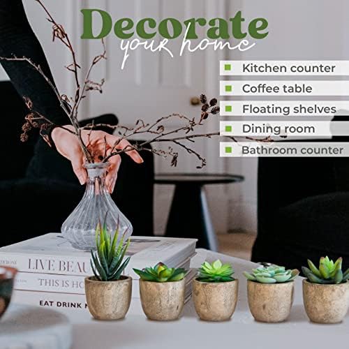 5 Mini Fake Succulents Set for Bedroom Bathroom Decor