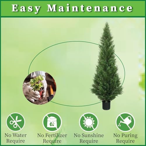 Arc Cedar Topiary Outdoor