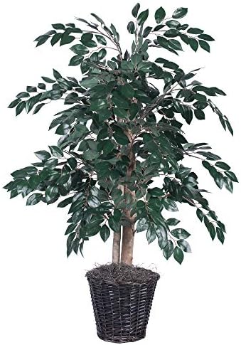Vickerman TBU0740 Green Dark 4 Everyday Sakaki Bush