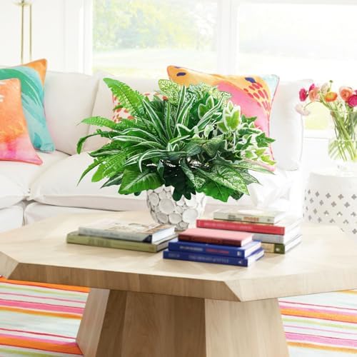 Bring Green to Your Outdoor Space