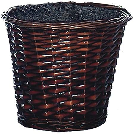 Vickerman TBU0740 Green Dark 4 Everyday Sakaki Bush