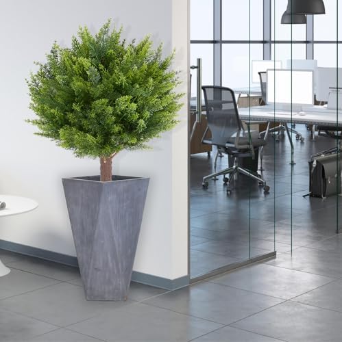 Realistic Cedar Shrubs with Ground Spikes