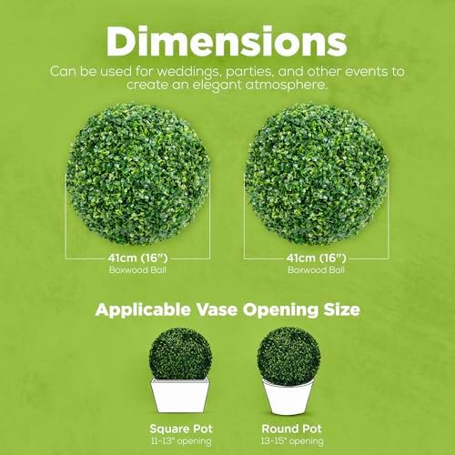 Stackable Boxwood Beauty - 2-Pack