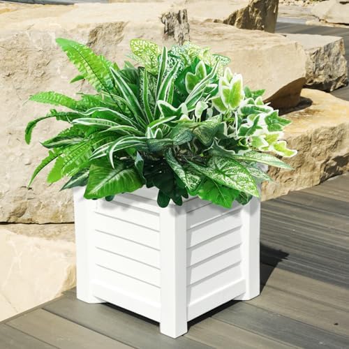 Bring Green to Your Outdoor Space