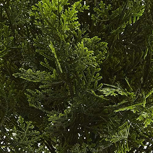 Keep 2ft Cedar Bush Natural