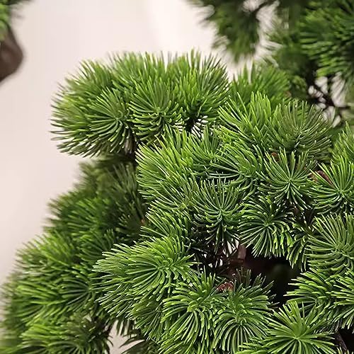 FAFACAI Artificial Bonsai Pine Tree