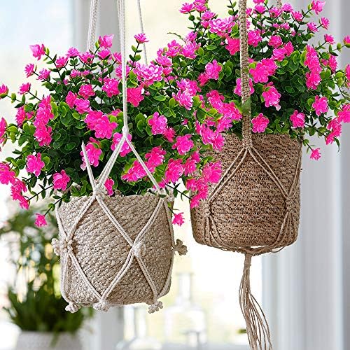 Natural Eucalyptus Elegance 10-Pack