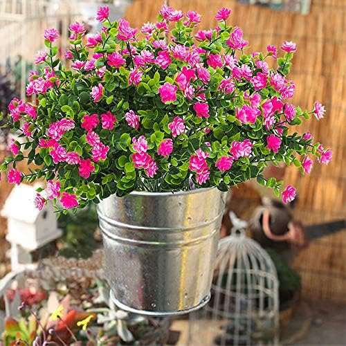 Natural Eucalyptus Elegance 10-Pack