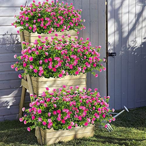 Natural Eucalyptus Elegance 10-Pack